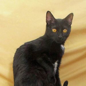 Meet your Posher, Nancy